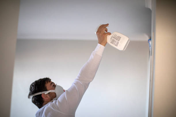 Best Certified Mold Removal  in Wolfdale, PA