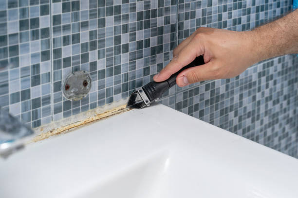 Best Black Mold Removal  in Wolfdale, PA